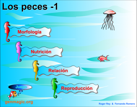 Son vertebrados acuáticos. Tienen esqueleto óseo o cartilaginoso. Tienen aletas para moverse en el agua: pares o impares